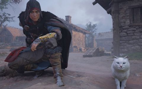 Where to Find The Secret Cat Companion in Assassin's Creed: Valhalla