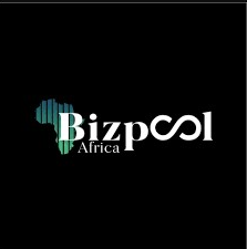 Sales Executive at Bizpool Africa