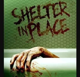 Download Shelter in Place (2021) - Mp4 Netnaija