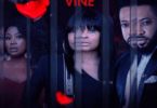 Download Broken Vine – Nollywood Movie