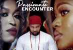 Download Passionate Encounter – Nollywood Movie