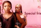 Download Special Friends – Nollywood Movie