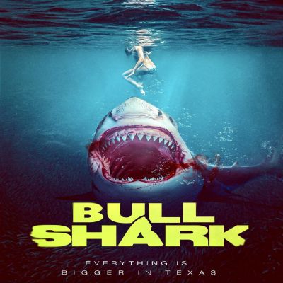 Download Bull Shark (2022) - Mp4 Netnaija