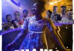 Shaina 2020 – Zimbabwe Movie
