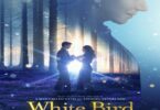 Download White Bird (2024) - Mp4 Netnaija